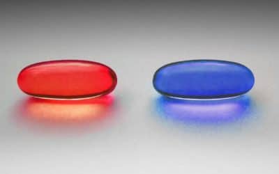 Féminisme: témoignage de la réalisatrice américaine Cassie Jayee